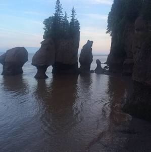 Meet your Posher, Siham